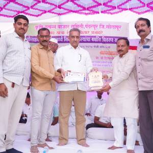 DSC06247_original_copy_1