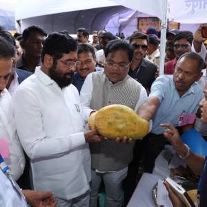 WhatsApp_Image_2024-07-04_at_4.43.52_PM_1_original